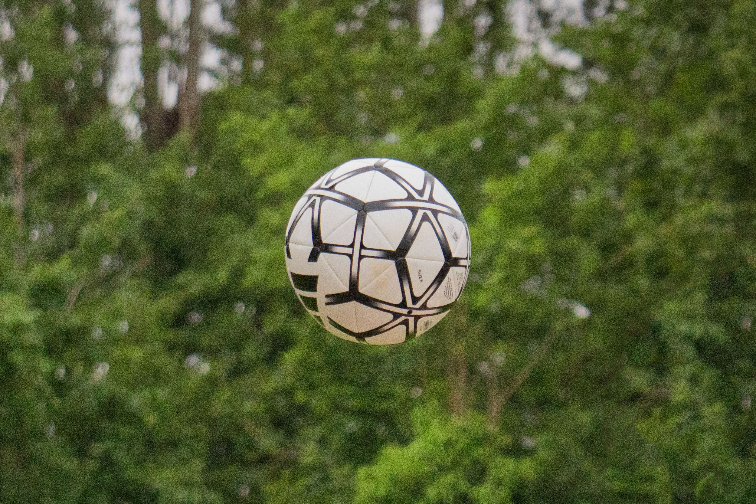 Pallone — Beyond the Pitch